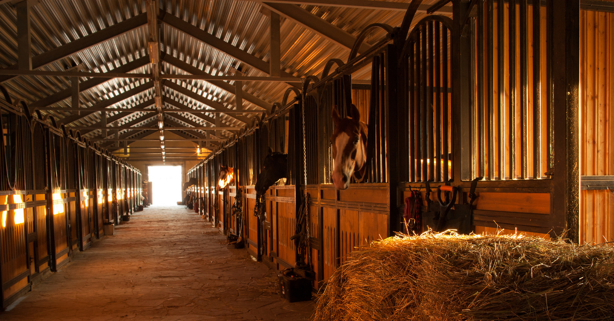 horse stable business plan